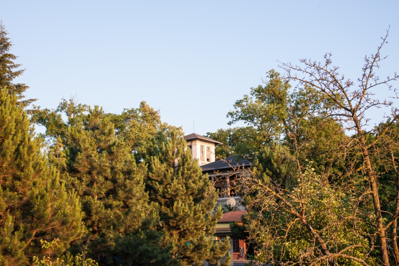 Canon EOS-1Ds Mark III, TAMRON SP 45mm F/1.8 Di VC USD F013, 45.00 mm, F5.6, ISO 100, 1/80 s, komp. exp. +1/3, Blesk: Ne, RAW v Adobe Photoshop Elements 14