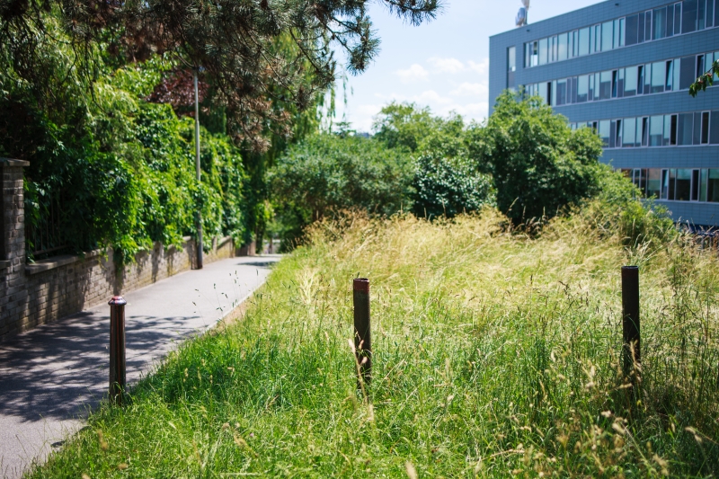 Canon EOS-1Ds Mark III, TAMRON SP 35mm F/1.8 Di VC USD F012, 35.00 mm, F1.8, ISO 100, 1/2000 s, komp. exp. +1/3, Blesk: Ne, RAW v Adobe Photoshop Elements 