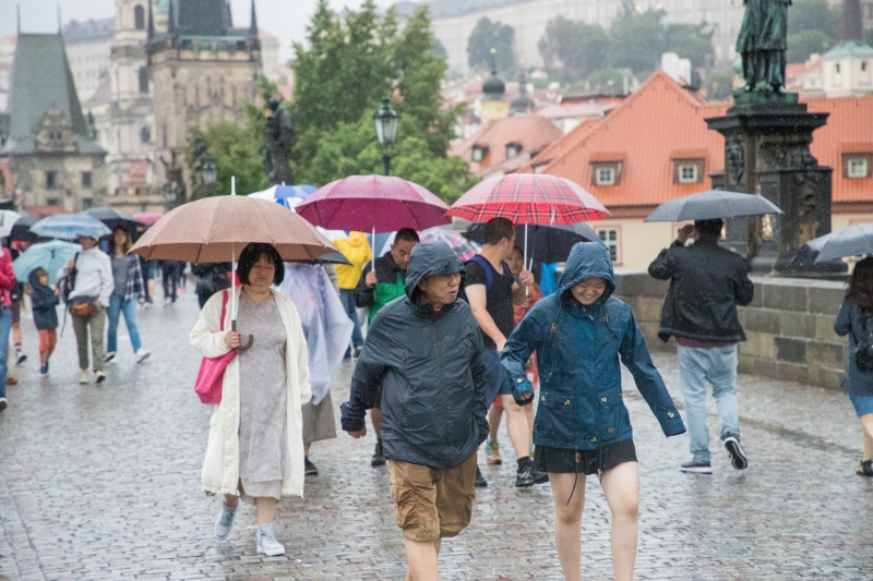 Canon EOS 6D Mark II, Objektiv: EF24-105mm f/4L IS II USM, F5.6, ISO 8000, 1/800 s, komp. exp. -1/3, Blesk: Ne, RAW v Adobe DNG Converter 9.12 (Windows) | © Jakub Súkeník Canon EOS 6D Mark II, Objektiv: EF24-105mm f/4L IS II USM, F5.6, ISO 8000, 1/800 s, komp. exp. -1/3, Blesk: Ne, RAW v Adobe DNG Converter 9.12 (Windows)