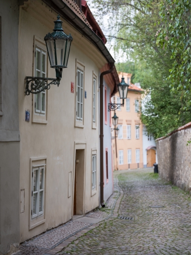 GFX 50S, Objektiv: GF120mmF4 R LM OIS WR Macro, F4.0, ISO 400, 1/280 s, komp. exp. 0, Blesk: Ne, RAW v Adobe DNG Converter 9.12 (Windows) | © Andrej Macenauer GFX 50S, Objektiv: GF120mmF4 R LM OIS WR Macro, F4.0, ISO 400, 1/280 s, komp. exp. 0, Blesk: Ne, RAW v Adobe DNG Converter 9.12 (Windows)