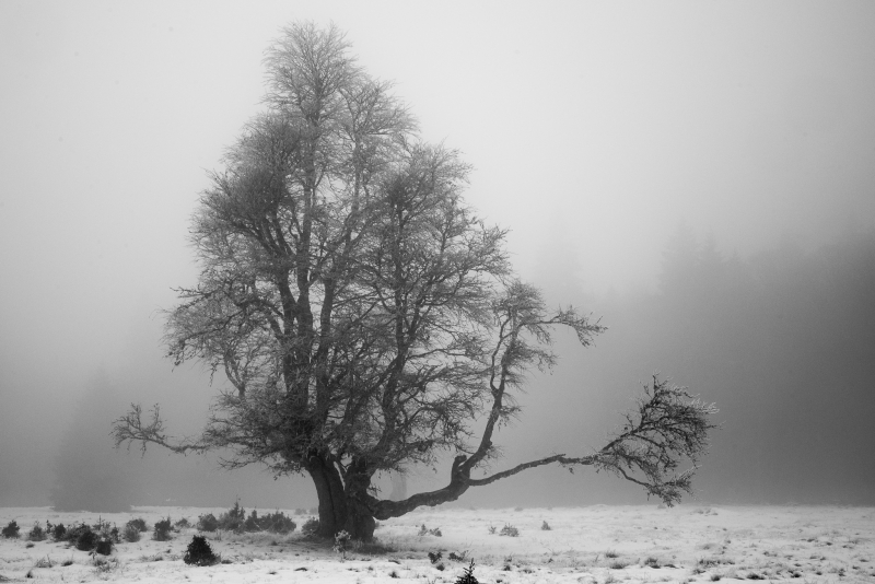 Tamron 24-70mm f/2.8 G2, NIKON D800, Ohnisko: 48mm, Clona: f/13, Čas: 1/125s, ISO: 400