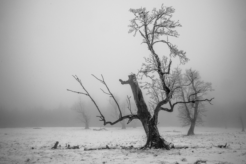 Tamron 24-70mm f/2.8 G2, NIKON D800, Ohnisko: 24mm, Clona: f/13, Čas: 1/200s, ISO: 400