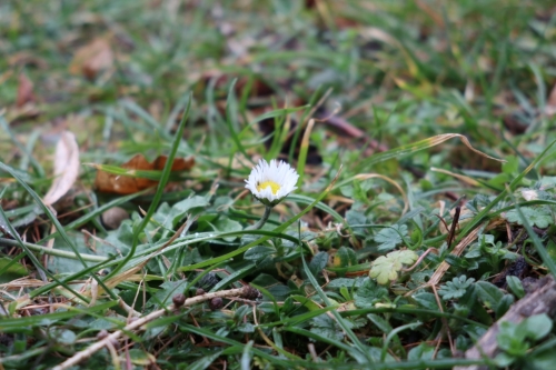 Canon PowerShot G1 X Mark III, Ohnisko: 45.00 mm, Clona: f/5.6, Čas: 1/80 s, ISO: 320