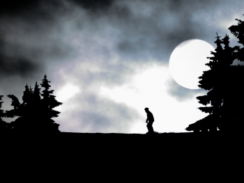 Panasonic DC-FZ82, Ohniskov? vzd?lenost (EQ35mm): 817 mm , Clona: f/8.0, ?as: 1/2000 s, ISO: 80