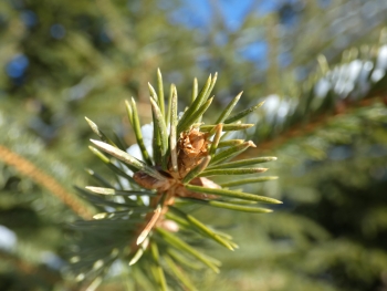 Panasonic DC-FZ82, Ohniskov? vzd?lenost (EQ35mm): 33 mm , Clona: f/3.4, ?as: 1/250 s, ISO: 80