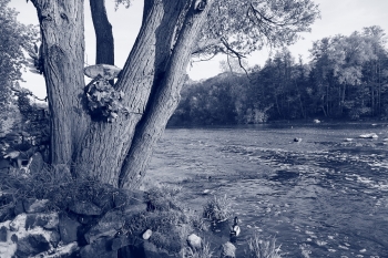 Picture Style - některé varianty, Canon EOS M50, Ohnisková vzdálenost: 15.00 mm, Clona: f/5.6, Čas: 1/200 s, ISO: 100