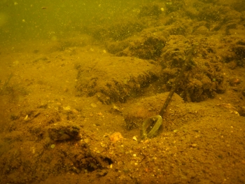 Nikon COOLPIX W300, Ohnisková vzdálenost (EQ35mm): 24 mm, Clona: 2.8, Čas: 1/200 s, ISO: 125 | www.nikon-foto.cz Nikon COOLPIX W300, Ohniskov? vzd?lenost (EQ35mm): 24 mm, Clona: 2.8, ?as: 1/200 s, ISO: 125