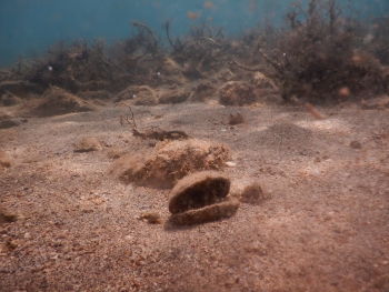 Nikon COOLPIX W300, Ohnisková vzdálenost (EQ35mm): 24 mm, Clona: 4.1, Čas: 1/1000 s, ISO: 125 | © Petr Koritina Nikon COOLPIX W300, Ohniskov? vzd?lenost (EQ35mm): 24 mm, Clona: 4.1, ?as: 1/1000 s, ISO: 125