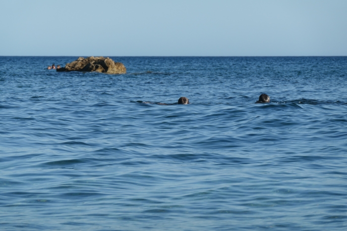 Panasonic Lumix DC-TZ200, Ohniskov? vzd?lenost (EQ35mm): 200 mm, Clona: 6.1, ?as: 1/640 s, ISO: 200 