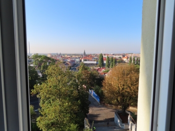 Canon PowerShot SX740 HS, Ohniskov? vzd?lenost: 4.30 mm, Clona: 4.0, ?as: 1/800 s, ISO: 100 