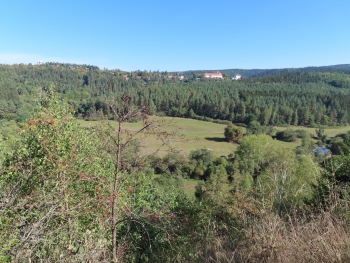 Canon PowerShot SX740 HS, Ohniskov? vzd?lenost: 4.30 mm, Clona: 4.0, ?as: 1/800 s, ISO: 100 