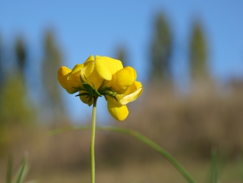 Panasonic Lumix DC-GX9, Ohniskov? vzd?lenost: 60.00 mm, Clona: 11, ?as: 1/200 s, ISO: 200