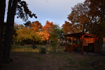 NIKON D3500, Ohniskov? vzd?lenost: 18.00 mm, Clona: 3.5, ?as: 1/40 s, ISO: 100, Kompenzace expozice: 0, Vyrovn?n? b?l?: Ru?n? 