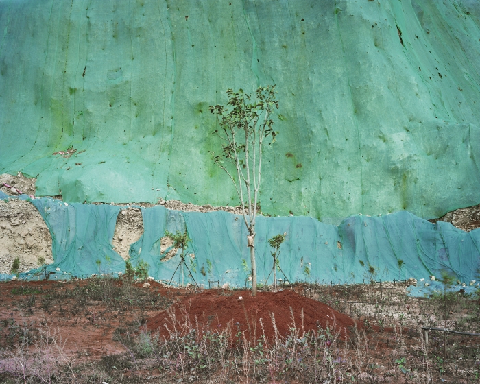 The ecology recovery landscape in Haidong Development Zone, Dali, Yunnan Province, China. | Yan Wang Preston | ©Yan Wang Preston, all rights reserved.