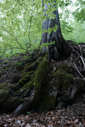 Panasonic DC-S1R, Ohniskov? vzd?lenost: 24.00 mm, Clona: 4.0, ?as: 1/60 s, ISO: 3200, Kompenzace expozice: 0, Vyrovn?n? b?l?: Automatick?, Objektiv: LUMIX 