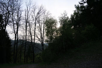Panasonic DC-S1R, Ohniskov? vzd?lenost: 24.00 mm, Clona: 4.0, ?as: 1/100 s, ISO: 100, Kompenzace expozice: 0, Vyrovn?n? b?l?: Automatick?, Objektiv: LUMIX 