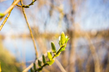 Samyang E 24mm F2.8, ILCE-3000, ISO: 100, 1/2000 s, F2.8, Kompenzace expozice: 0, Blesk: Ne, RAW