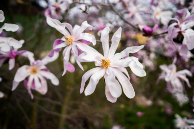 Samyang SAMYANG AF 24mm F2.8, ILCE-7, ISO: 100, 1/2500 s, F2.8, Kompenzace expozice: -0.70, Blesk: Ne, RAW