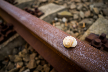 Samyang SAMYANG AF 24mm F2.8, ILCE-7, ISO: 100, 1/160 s, F2.8, Kompenzace expozice: 0, Blesk: Ne, RAW