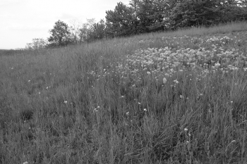 Fujifilm X-T3, 18.00 mm, Clona: 5.0, Čas: 1/180 s, ISO: 160, +1/3 EV, WB: Automatické, Objektiv: XF18-55mmF2.8-4 R LM OIS | © Petr Koritina Fujifilm X-T3, 18.00 mm, Clona: 5.0, ?as: 1/180 s, ISO: 160, +1/3 EV, WB: Automatick?, Objektiv: XF18-55mmF2.8-4 R LM OIS�