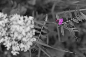 Fujifilm X-T3, 55.00 mm, Clona: 4.0, Čas: 1/220 s, ISO: 160, +1/3 EV, WB: Automatické, Objektiv: XF18-55mmF2.8-4 R LM OIS | © Petr Koritina Fujifilm X-T3, 55.00 mm, Clona: 4.0, ?as: 1/220 s, ISO: 160, +1/3 EV, WB: Automatick?, Objektiv: XF18-55mmF2.8-4 R LM OIS�