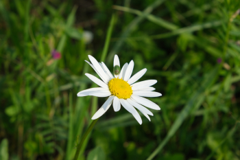 Fujifilm X-T3, 55.00 mm, Clona: 8.0, Čas: 1/150 s, ISO: 160, 0 EV, WB: Automatické, Objektiv: XF18-55mmF2.8-4 R LM OIS | © Petr Koritina Fujifilm X-T3, 55.00 mm, Clona: 8.0, ?as: 1/150 s, ISO: 160, 0 EV, WB: Automatick?, Objektiv: XF18-55mmF2.8-4 R LM OIS�