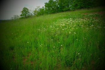 Fujifilm X-T3, 18.00 mm, Clona: 5.0, Čas: 1/180 s, ISO: 160, +1/3 EV, WB: Automatické, Objektiv: XF18-55mmF2.8-4 R LM OIS | © Petr Koritina Fujifilm X-T3, 18.00 mm, Clona: 5.0, ?as: 1/180 s, ISO: 160, +1/3 EV, WB: Automatick?, Objektiv: XF18-55mmF2.8-4 R LM OIS�