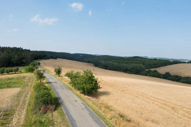 Fotografie z objektivu Zeiss Milvus 25 mm f1.4