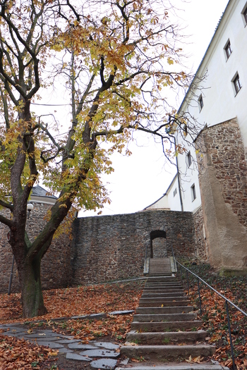  Canon EOS 90D,  f=18.00 mm, Clona: 3.5, ?as: 1/80 s, ISO: 250, +2/3 EV, WB: Automatick?