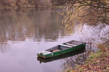  Canon EOS 90D,  f=35.00 mm, Clona: 4.5, ?as: 1/60 s, ISO: 250, +1/3 EV, WB: Automatick?