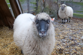 Panasonic S1H, Clona: 11, Čas: 1/60 s, ISO: 4000, kompenzace expozice 0 EV, WB: Automatické, objektiv LUMIX S 50/F1.4 | © Petr Koritina Panasonic S1H, Clona: 11, ?as: 1/60 s, ISO: 4000, kompenzace expozice 0 EV, WB: Automatick?, objektiv LUMIX S 50/F1.4