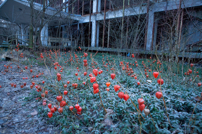 Andrej Macenauer | © Andrej Macenauer - All rights reserved