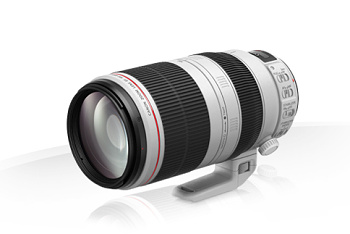 Canon EF 100-400mm f/4.5-5.6L IS II USM