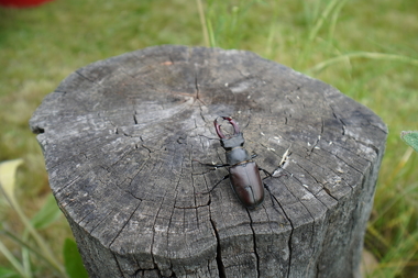 Sony ZV-E10, Sony E 10-18mm F4 OSS, F4.0, 1/100 s, ISO: 100, komp. ex. 0, JPEG