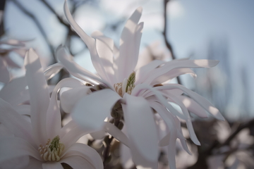 Sony A1, FE PZ 16-35mm F4 G, ISO: 125, 1/1000 s, F4.0, komp. exp. 0, RAW (Imaging Edge)