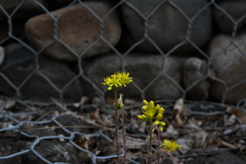 Nikon Z9, f=50.00 mm, Clona: 8.0, Doba expozice: 1/125 s, ISO: 100, -1 EV , Vyrovn?n? b?l?: Automatick?,  Objektiv: NIKKOR Z 50mm f/1.2 S 