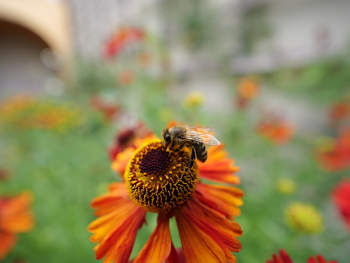 Panasonic GH6, Objektiv: LEICA DG SUMMILUX 9/F1.7, f=9.00 mm, Clona: 2.5, Doba expozice: 1/250 s, ISO: 100, 0 EV , Vyrovn?n? b?l?: Automatick?