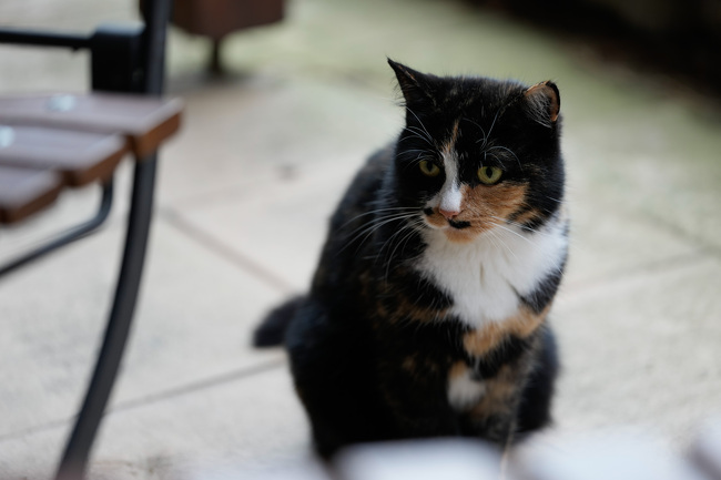 Andrej Macenauer | All rights reserved