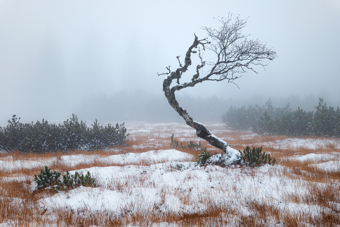 JAN SCHAFHAUSER schafj@seznam.cz | JAN SCHAFHAUSER