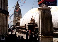 Swayanbunath