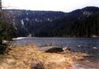 Plešné jezero