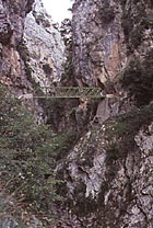 Cesta