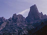 Naranjo de Bulnes