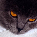 zvětšení (256x256px, 200dpi) zvětšení (256x256px, 200dpi)