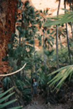 Soutěska v Bungle Bungle