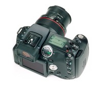 Obr. č. 3 - pohled zezadu