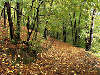 Zkušební snímek s použitím nejširšího ohniska objektivu