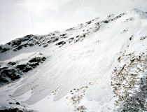 Samovolné laviny ve švýcarském údolí Valsorey.<br>©Jan Pala, 2004 Samovolné laviny ve švýcarském údolí Valsorey.