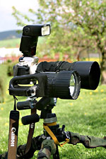 Osvětlovací sestava na fotografování bobrů