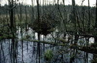 Bobří hrad Bobří hrad